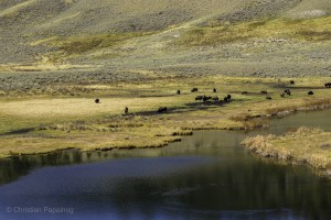 Yellowstone National Park